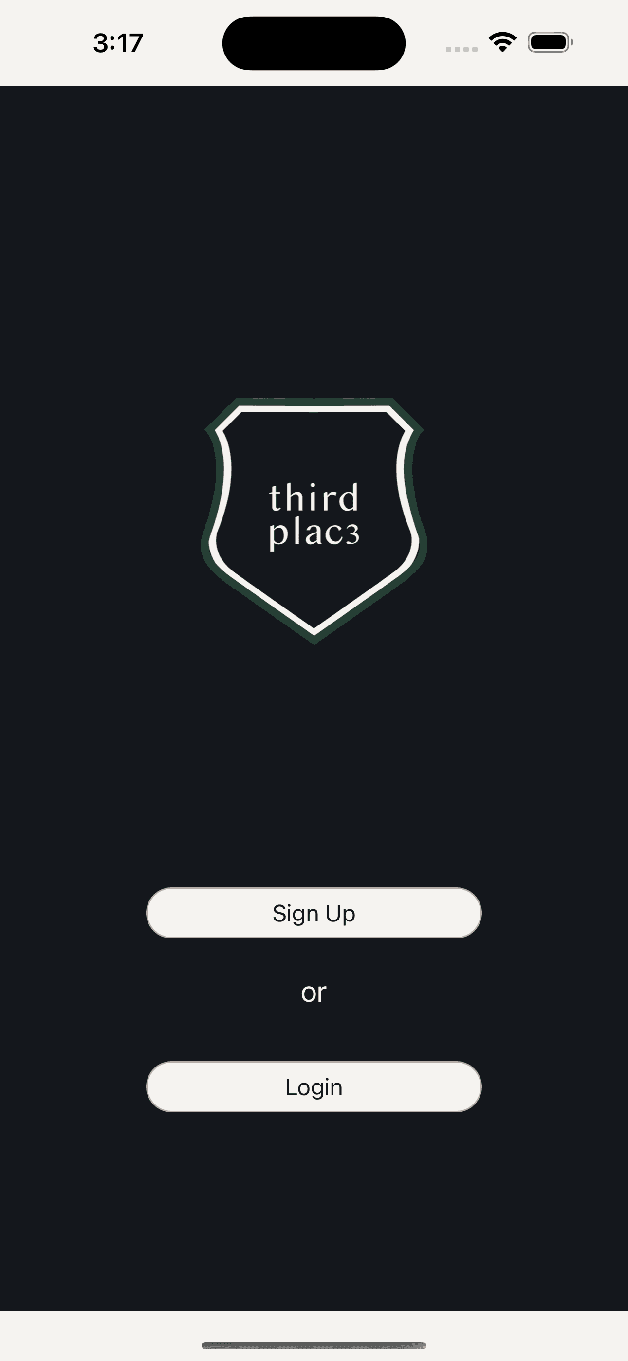 Third Place project preview