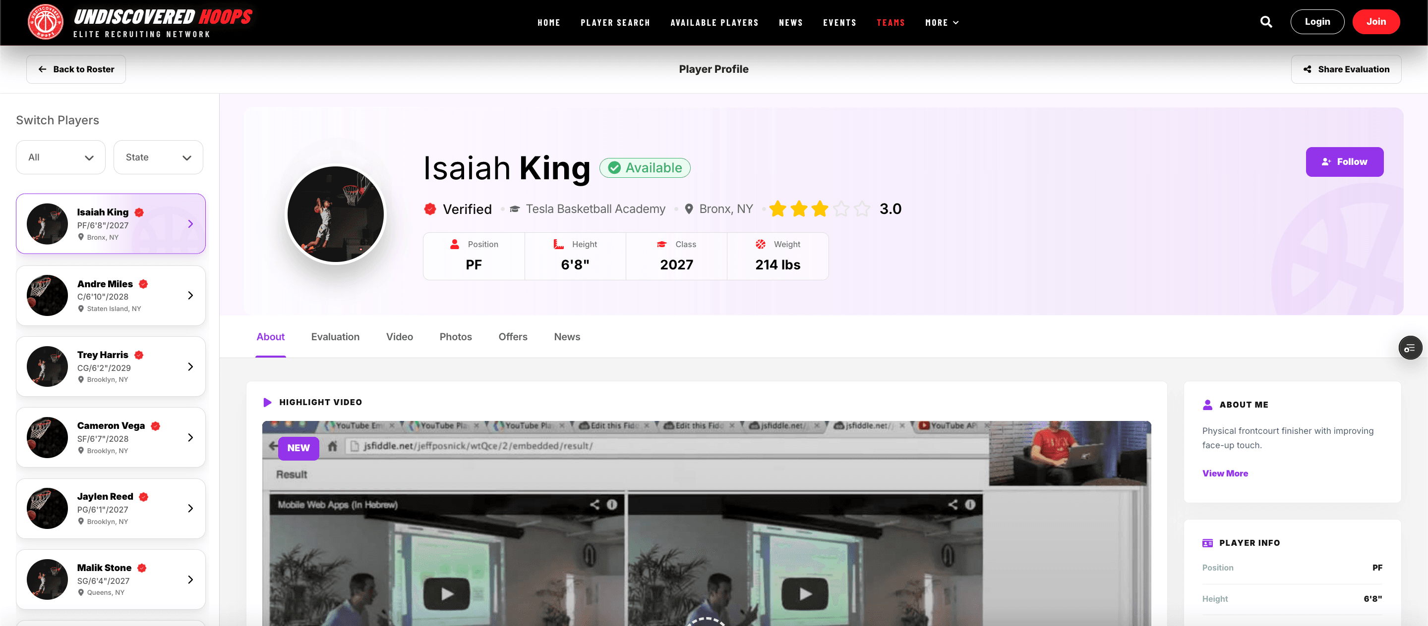 Undiscovered Hoops Subsite screenshot 3