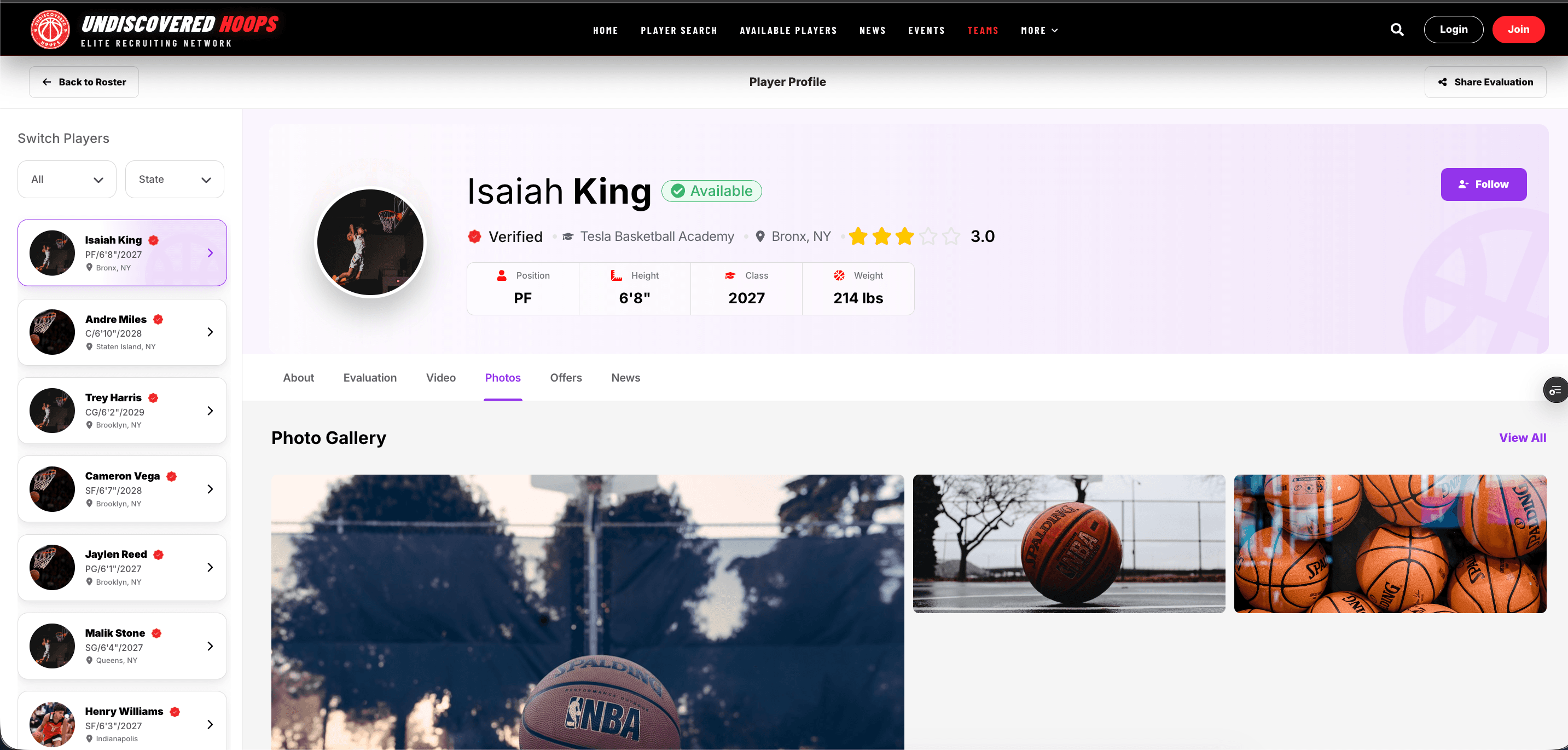 Undiscovered Hoops Subsite screenshot 4