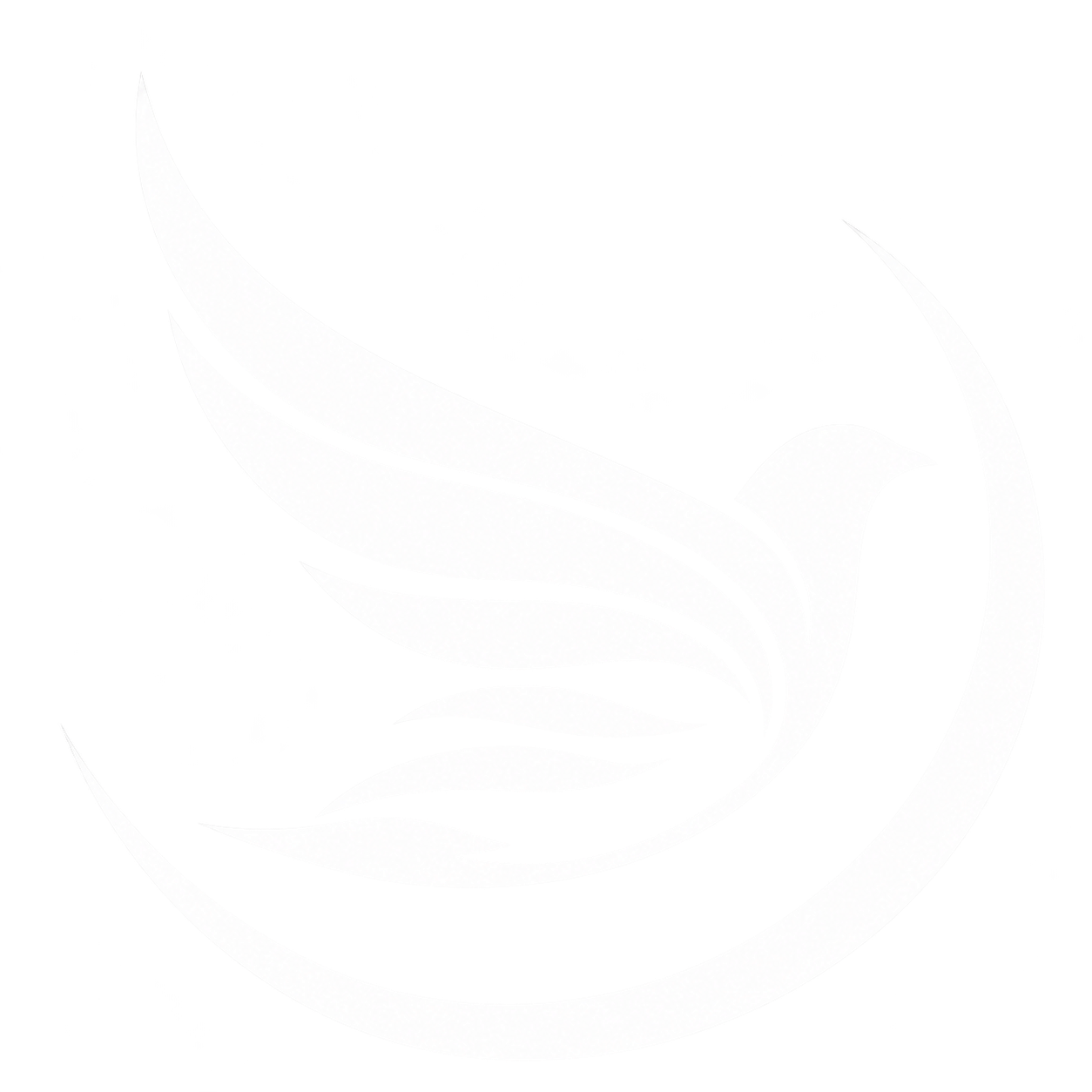 ECY logo