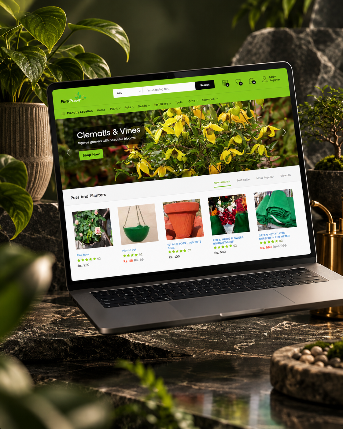 Find Plant Portraits 1