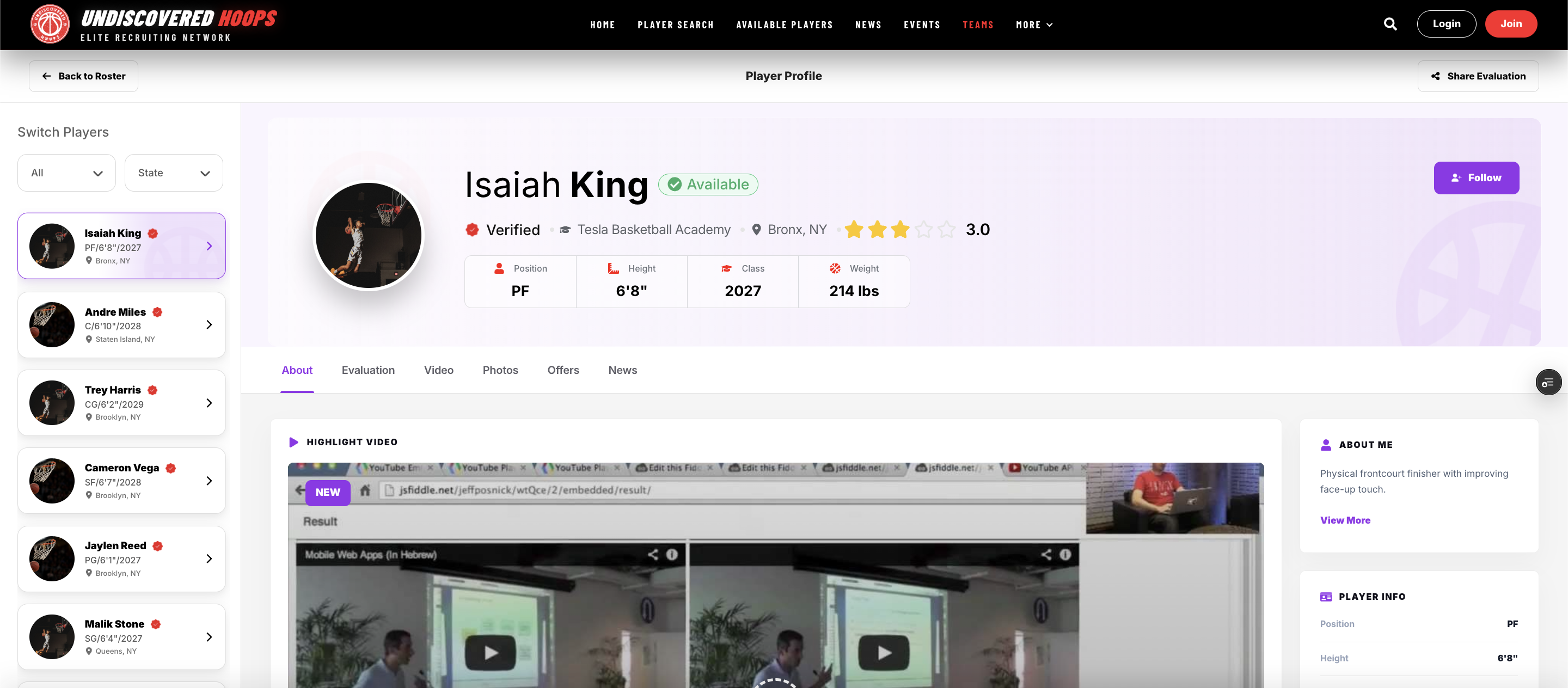 Undiscovered Hoops Subsite screenshot 3