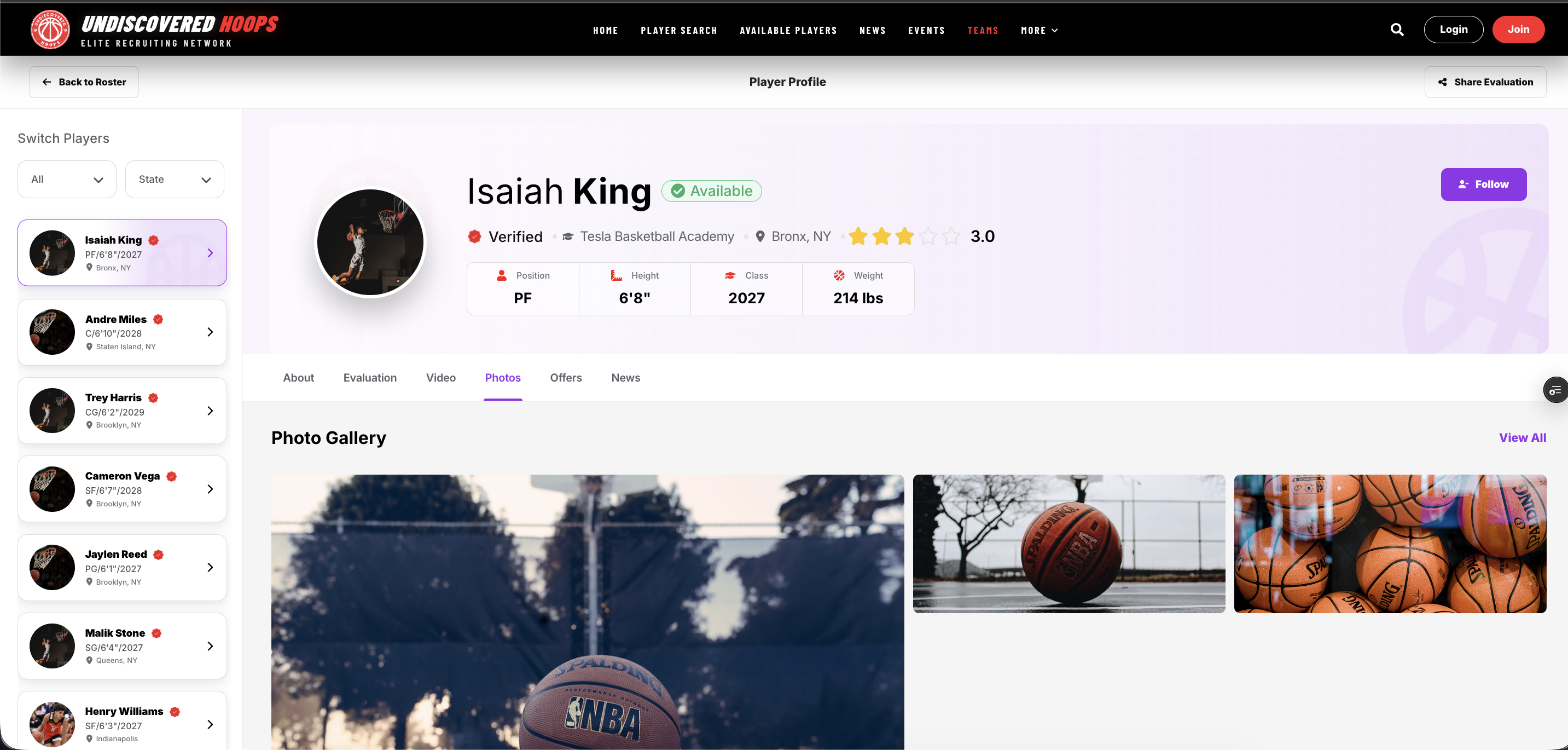 Undiscovered Hoops Subsite screenshot 4