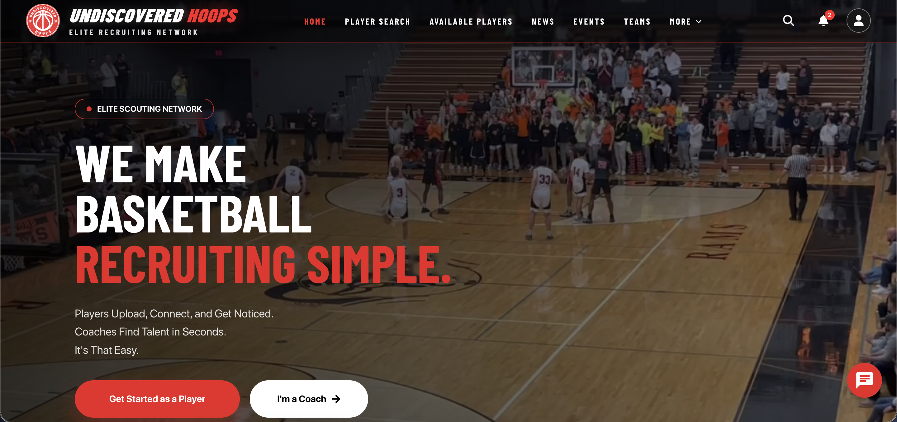 Undiscovered Hoops screenshot 1